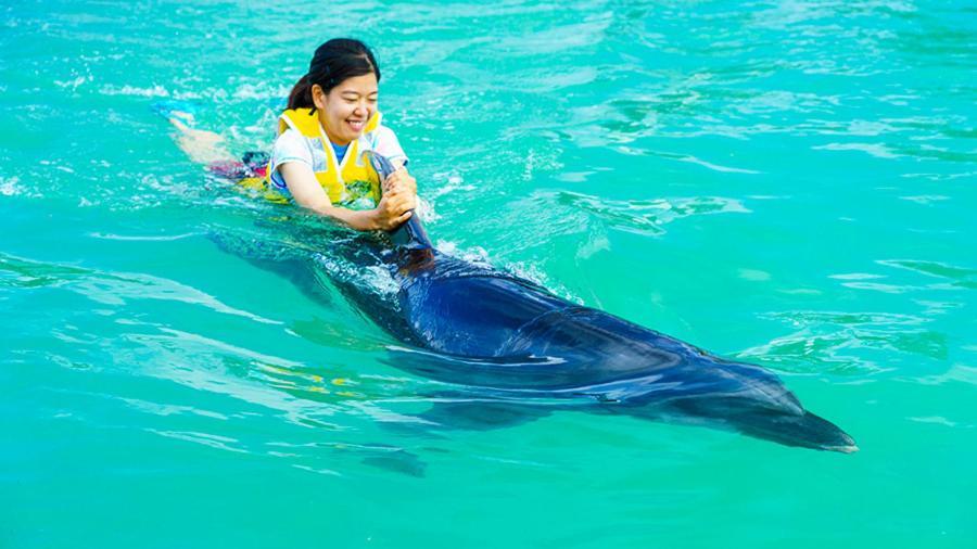 Marine Piazza Okinawa Hotel Motobu Eksteriør billede
